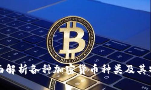 全面解析各种加密货币种类及其特点