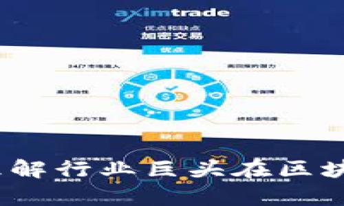 大厂加密货币:如何理解行业巨头在区块链领域的布局与前景