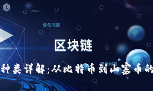 加密货币种类详解:从比特币到山寨币的全面指南