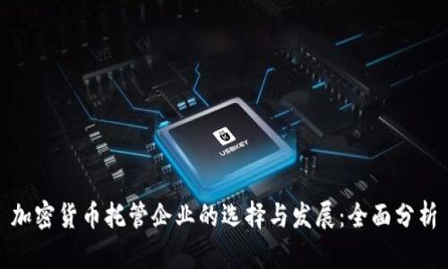 加密货币托管企业的选择与发展:全面分析