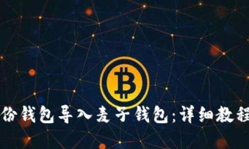如何将TP身份钱包导入麦子钱包:详细教程与实用技巧