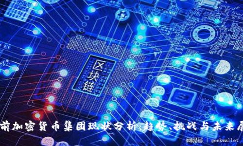 当前加密货币集团现状分析:趋势、挑战与未来展望