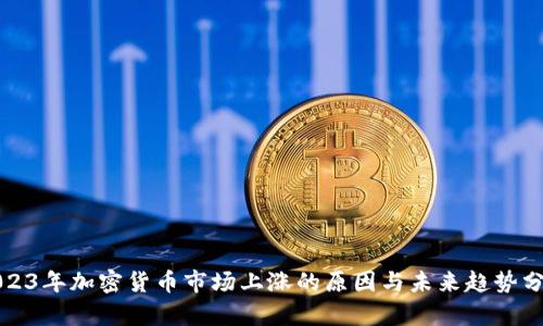 2023年加密货币市场上涨的原因与未来趋势分析