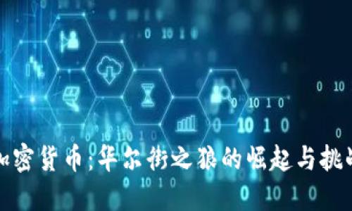 加密货币：华尔街之狼的崛起与挑战