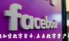   深入解析麒麟加密数字货