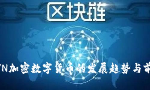 未来HYN加密数字货币的发展趋势与前景分析