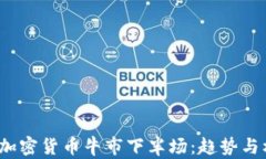 2024年加密货币牛市下半场
