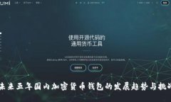 未来五年国内加密货币钱
