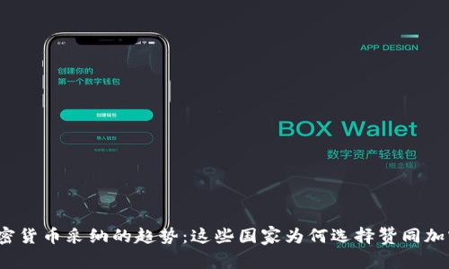 全球加密货币采纳的趋势：这些国家为何选择赞同加密货币？