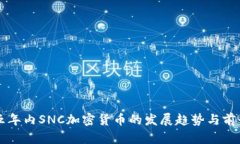 未来五年内SNC加密货币的