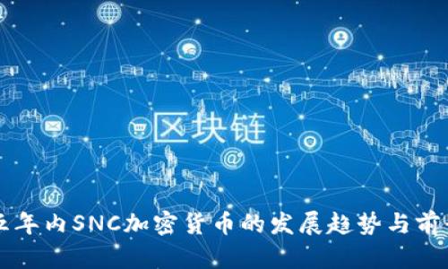 未来五年内SNC加密货币的发展趋势与前景分析