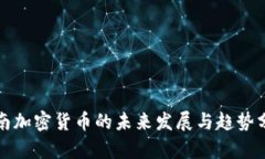 海南加密货币的未来发展