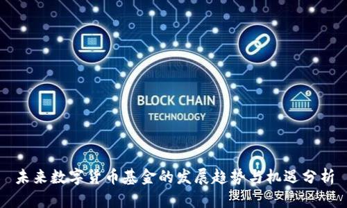 未来数字货币基金的发展趋势与机遇分析