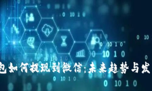 t p钱包如何提现到微信：未来趋势与发展分析