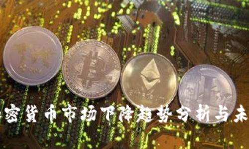 全球加密货币市场下降趋势分析与未来展望