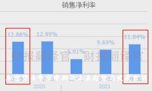 加密货币牛市中期的未来趋势与发展分析