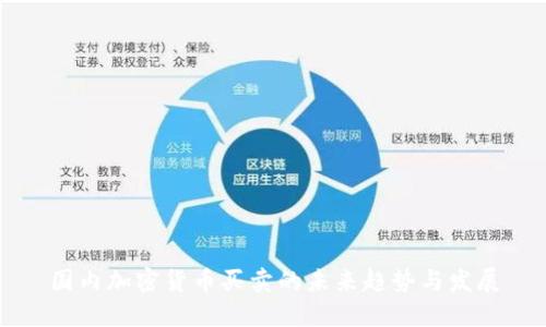 国内加密货币买卖的未来趋势与发展