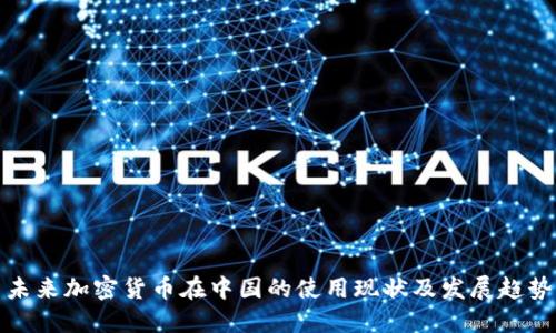 未来加密货币在中国的使用现状及发展趋势