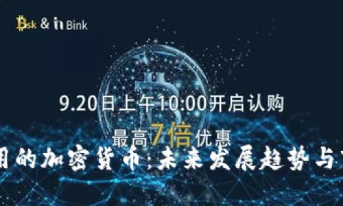 中国能用的加密货币：未来发展趋势与市场潜力