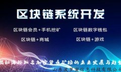 揭秘海外知名加密货币矿