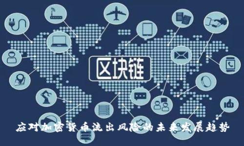 应对加密货币流出风险的未来发展趋势