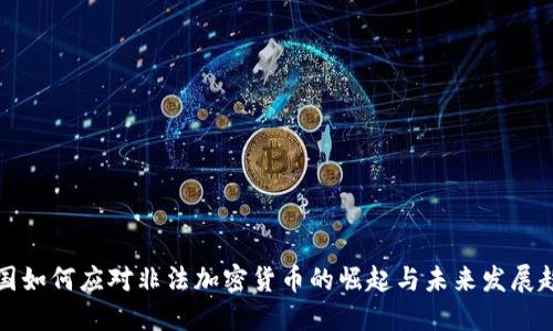 韩国如何应对非法加密货币的崛起与未来发展趋势