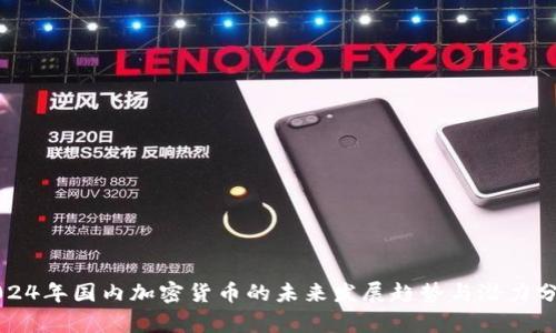 2024年国内加密货币的未来发展趋势与潜力分析