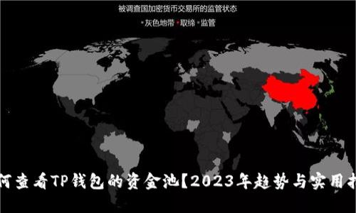 如何查看TP钱包的资金池？2023年趋势与实用指南