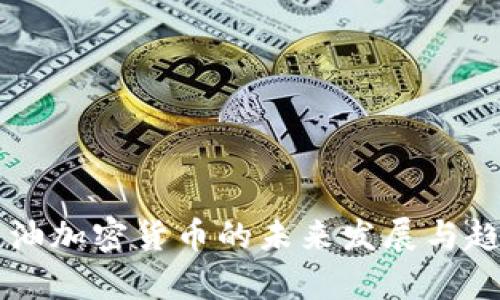 美国石油加密货币的未来发展与趋势分析
