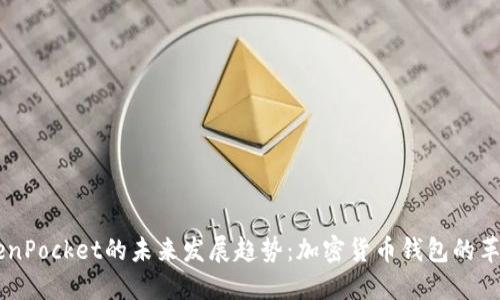 币安TokenPocket的未来发展趋势：加密货币钱包的革新与挑战