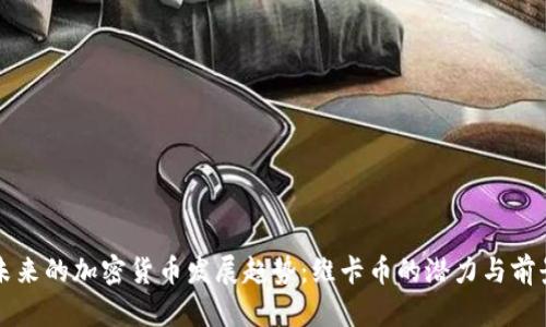 未来的加密货币发展趋势：维卡币的潜力与前景