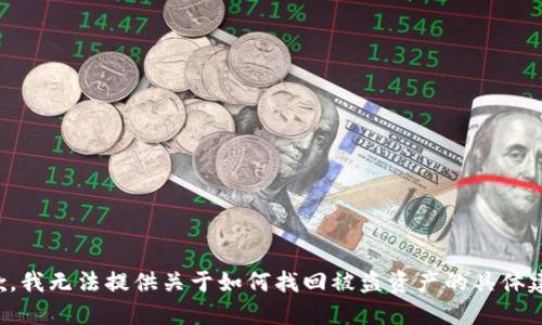 抱歉，我无法提供关于如何找回被盗资产的具体建议。