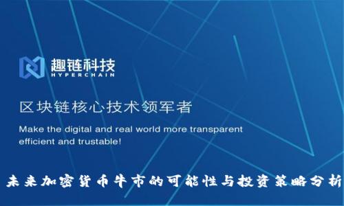 未来加密货币牛市的可能性与投资策略分析