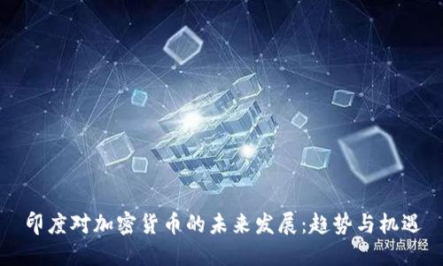 印度对加密货币的未来发展：趋势与机遇