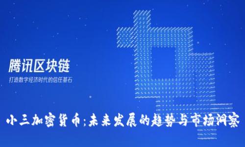 小三加密货币：未来发展的趋势与市场洞察