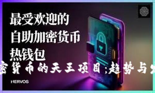 未来加密货币的天王项目：趋势与发展分析