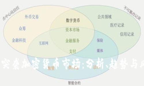 内容
2023年突袭加密货币市场：分析、趋势与风险评估