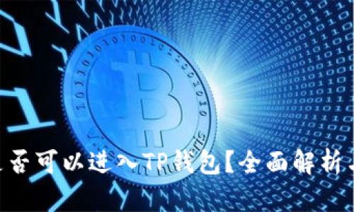 黑U是否可以进入TP钱包？全面解析与指导