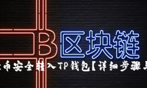 如何将Vgc币安全转入TP钱包？详细步骤与注意事项