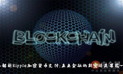 深入解析Ripple加密货币支付：未来金融的新宠还是昙花一现？