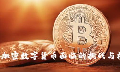 2023年加密数字货币面临的挑战与机遇解析