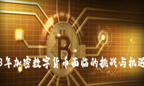 2023年加密数字货币面临的挑战与机遇解析