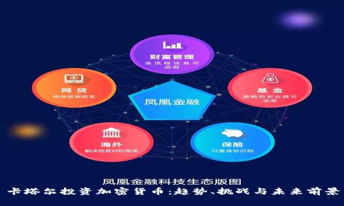 卡塔尔投资加密货币：趋势、挑战与未来前景