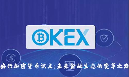 央行加密货币试点：未来金融生态的变革之路