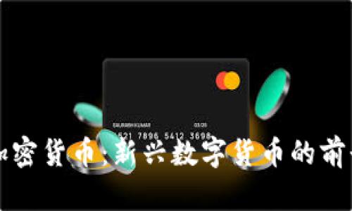大姨夫加密货币：新兴数字货币的前景与挑战
