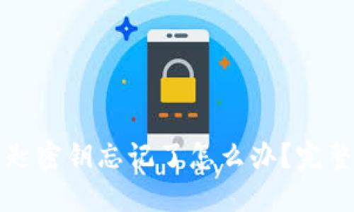 TP钱包钥匙密钥忘记了怎么办？完整解决指南
