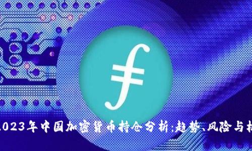 : 2023年中国加密货币持仓分析：趋势、风险与机遇