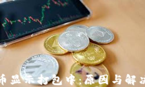 
TP钱包提币显示打包中：原因与解决方案详解