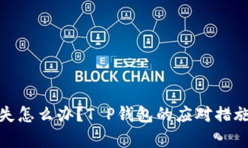 数字货币丢失怎么办？T P钱包的应对措施与恢复技巧