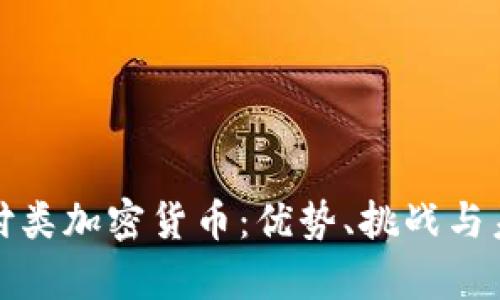 全面解析支付类加密货币：优势、挑战与未来发展趋势